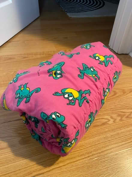 Photo of free Kids sleeping bag (Bathurst and College) #1