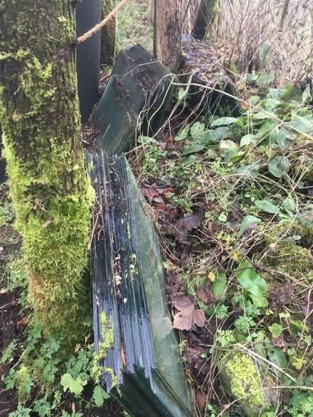 Photo of free Greenhouse glass (Batch Farm BA3) #1