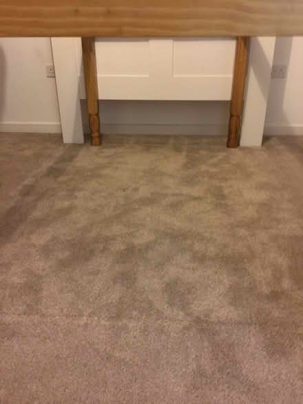Photo of free Single High Sleeper Bed needs bolts (Abingdon, OX14) #2