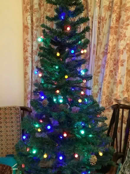 Photo of free Christmas tree (Wimborne BH21) #2