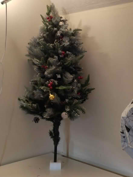 Photo of free Christmas Tree (Brookvale RG21) #1