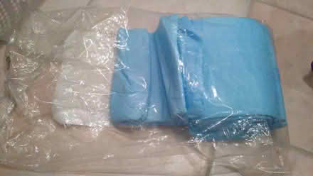 Photo of free Mattress pad (Yonge & Mulock) #1