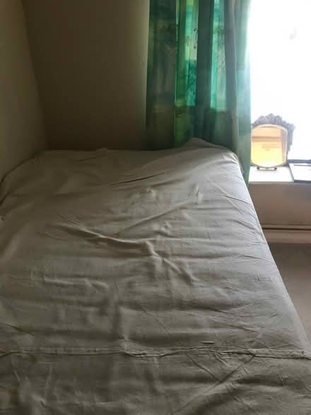 Photo of free Single Bed (Tackley, near Kidlington) #2