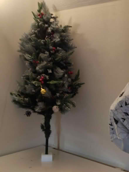 Photo of free Christmas Tree (Brookvale RG21) #3