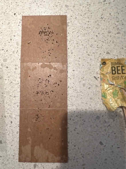 Photo of free Plant seeds-3 types + plant labels (Torrance 90501 near Hull MS) #4