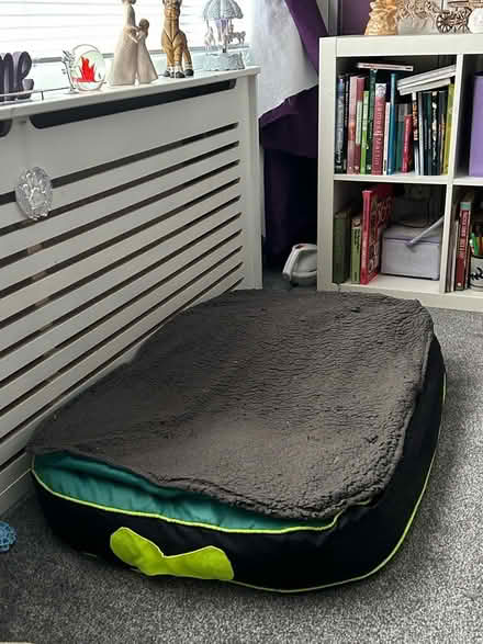 Photo of free Large dog bed (HP2) #1