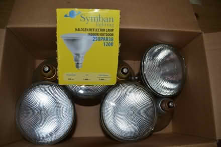 Photo of free halogen light bulbs (Etobicoke Parklawn/Berry Road) #1