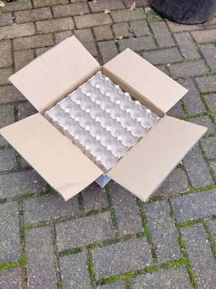 Photo of free Egg Trays (Gidea Park RM2) #1