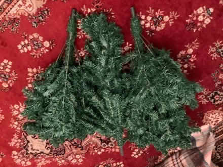 Photo of free Christmas tree (Wimborne BH21) #1