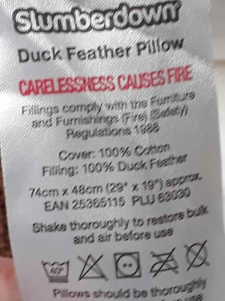 Photo of free two pillows (Oswestry SY11) #2
