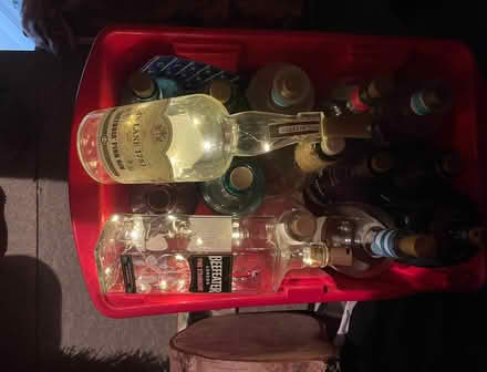 Photo of free Empty gin bottles with lights (RH12) #1