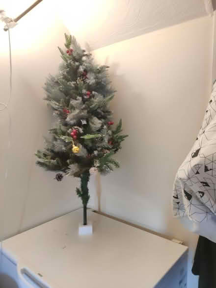 Photo of free Christmas Tree (Brookvale RG21) #4