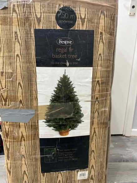 Photo of free Christmas tree (L27) #1