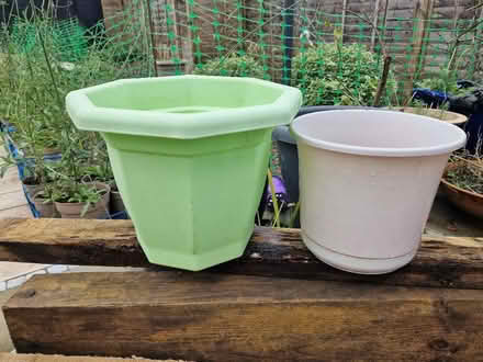Photo of free 2 plastic pots (Rusthall, TN4) #1