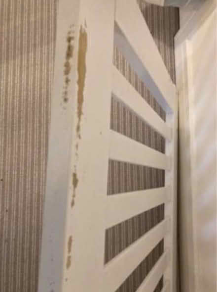 Photo of free Cot / toddler bed (GL52) #1