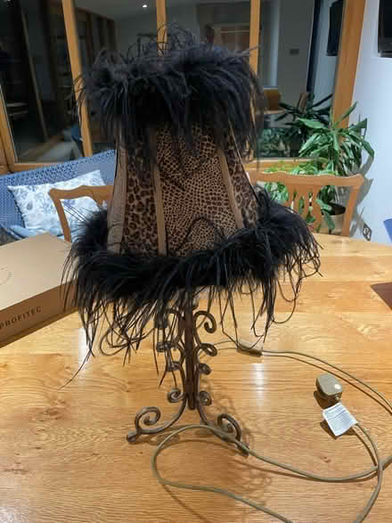 Photo of free Table lamp - working order (BA2) #1