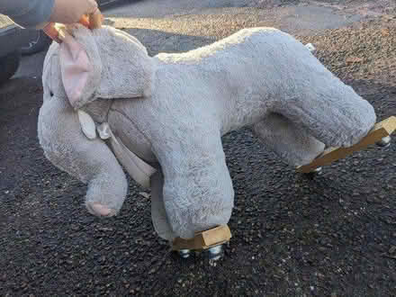 Photo of free Ride on elephant (Kingsholm GL1) #1