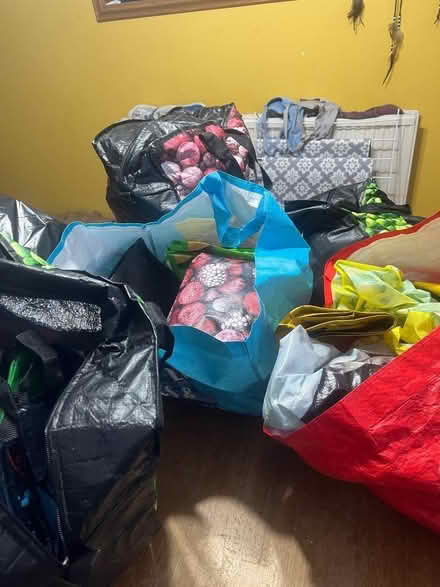 Photo of free Bags for life (Brandon IP27) #1