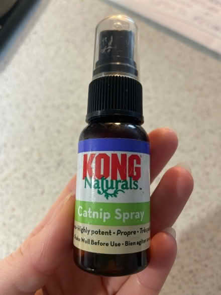 Photo of free Cat nip (Leyton, near Drapers Field E15) #1