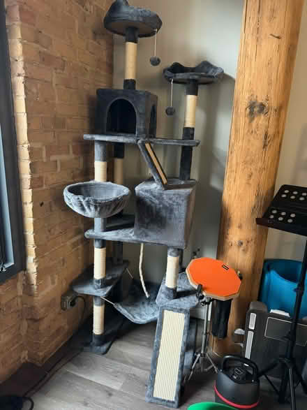 Photo of free Cat tree (South side) #1