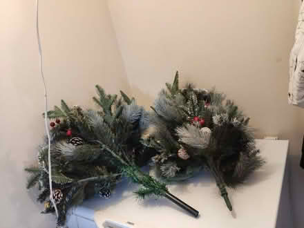 Photo of free Christmas Tree (Brookvale RG21) #2