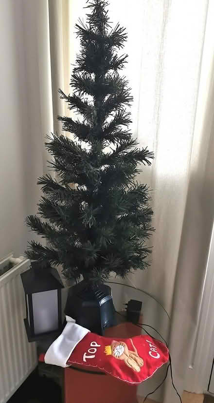 Photo of free Fibre optic tree (E4) #1