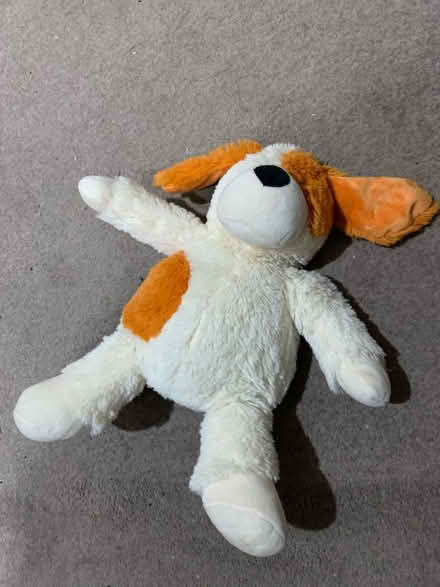 Photo of free Microwaveable teddy (Chorlton) #1
