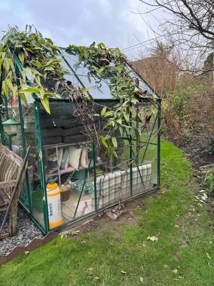 Photo of free Greenhouse (Cambridge/Royston) #2