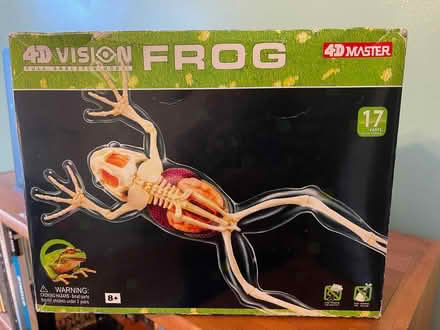 Photo of free Frog Model Kit (Brightwood NW (off of Georgia)) #1