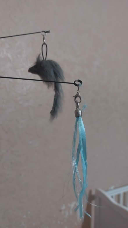 Photo of free Cat toy (Mitcham CR4) #2