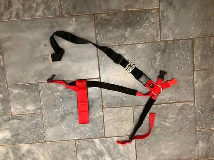 Photo of free Dog car harness (corley) #1