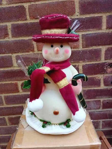 Photo of free Illuminating Snowman (CM23) #1