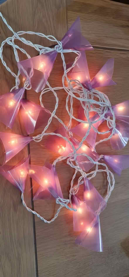 Photo of free String of lights with pink shades (Kempshott RG22) #1