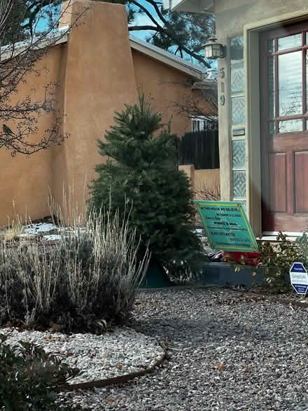 Photo of free Christmas tree (Nob Hill) #1