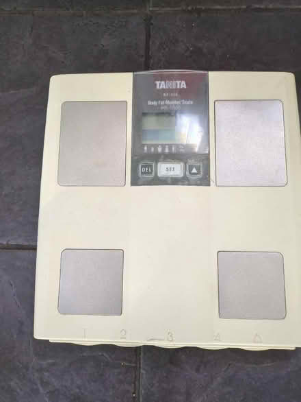 Photo of free Scale (Roath CF24) #1