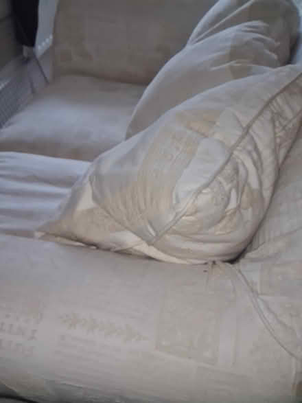 Photo of free Sofa (CH45) #4