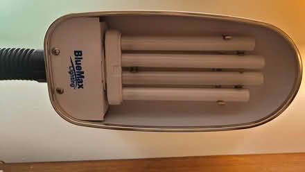 Photo of free Full spectrum task lamp (Adams Morgan) #2