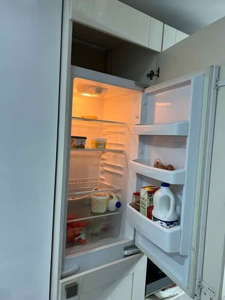 Photo of free Built-in Fridge freezer (Luton LU2) #1