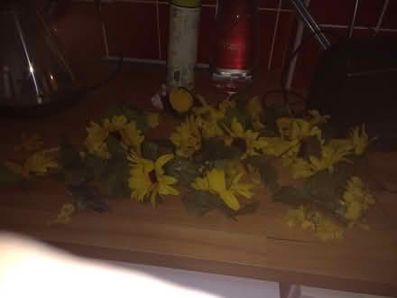 Photo of free Fake flowers (West Malvern WR14) #1