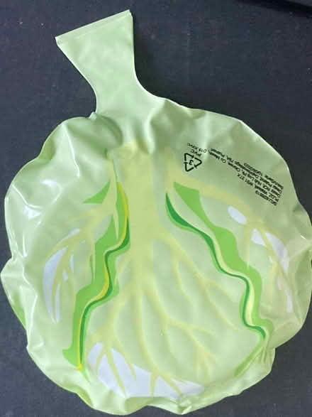 Photo of free Sprout whoppie cushion (Bristol BS14) #1