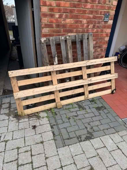 Photo of free 5 Wooden Pallets (CT19) #1
