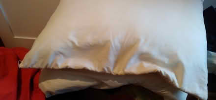 Photo of free Two pillows & throw blanket (Uptown, Chicago) #1