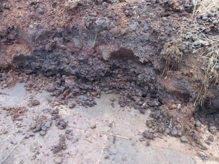 Photo of free Well rotted manure Woodmancote (Emsworth) #2