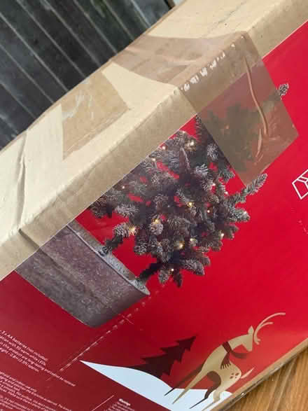 Photo of free Xmas tree (Wallington) #1