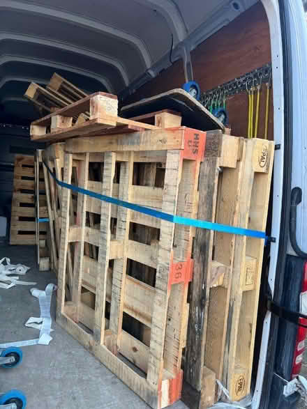 Photo of free Pallets (Hove BN3) #1