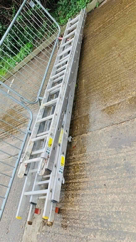Photo of free Ladders going (Belbroughton Road, Oxford OX2) #1