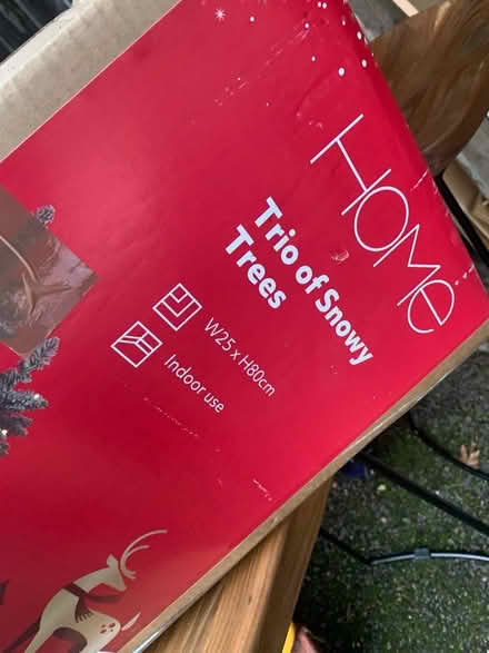 Photo of free Xmas tree (Wallington) #2