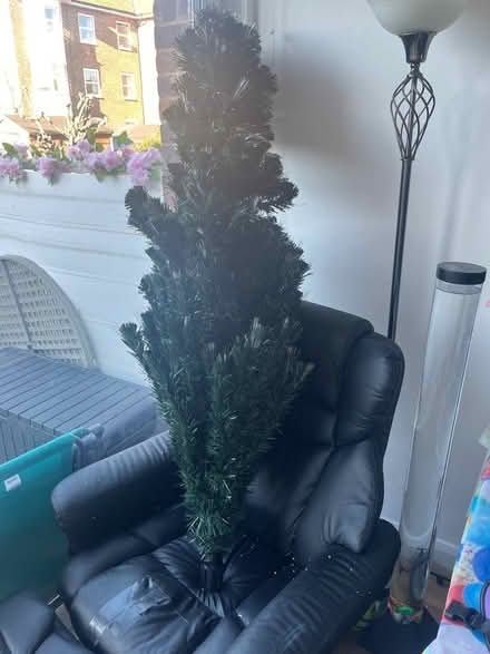 Photo of free Christmas tree, BN17 (BN17, Littlehampton) #1