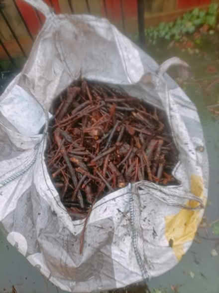 Photo of free Wood & twigs for fire (Boscombe BH1) #2