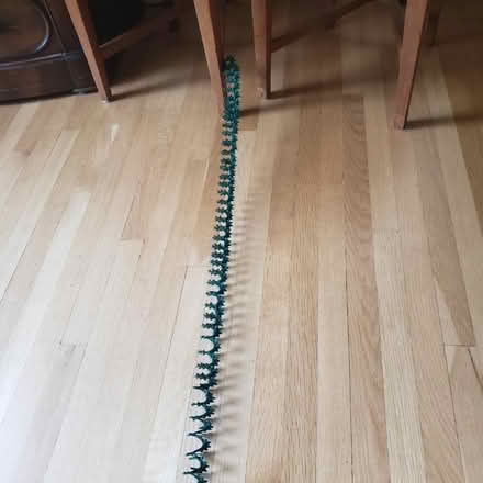 Photo of free 3 raffia-like spiral garlands (Phinney Ridge) #1